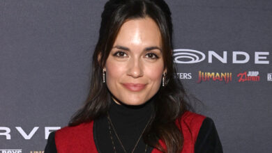 torrey devitto