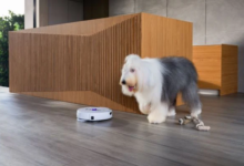 Quel robot aspirateur choisir avec des animaux en 2026 ? Guide complet pour poils de chien et chat chien