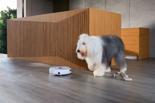 Quel robot aspirateur choisir avec des animaux en 2026 ? Guide complet pour poils de chien et chat chien